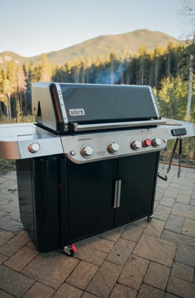 Weber Genesis EPX 435