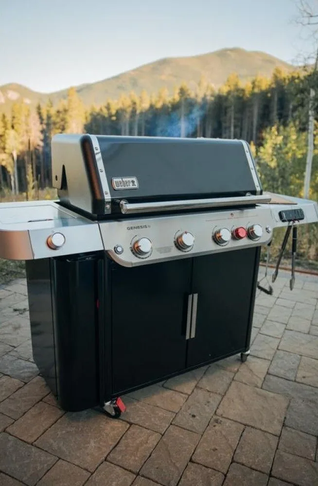 Weber Genesis EPX 435