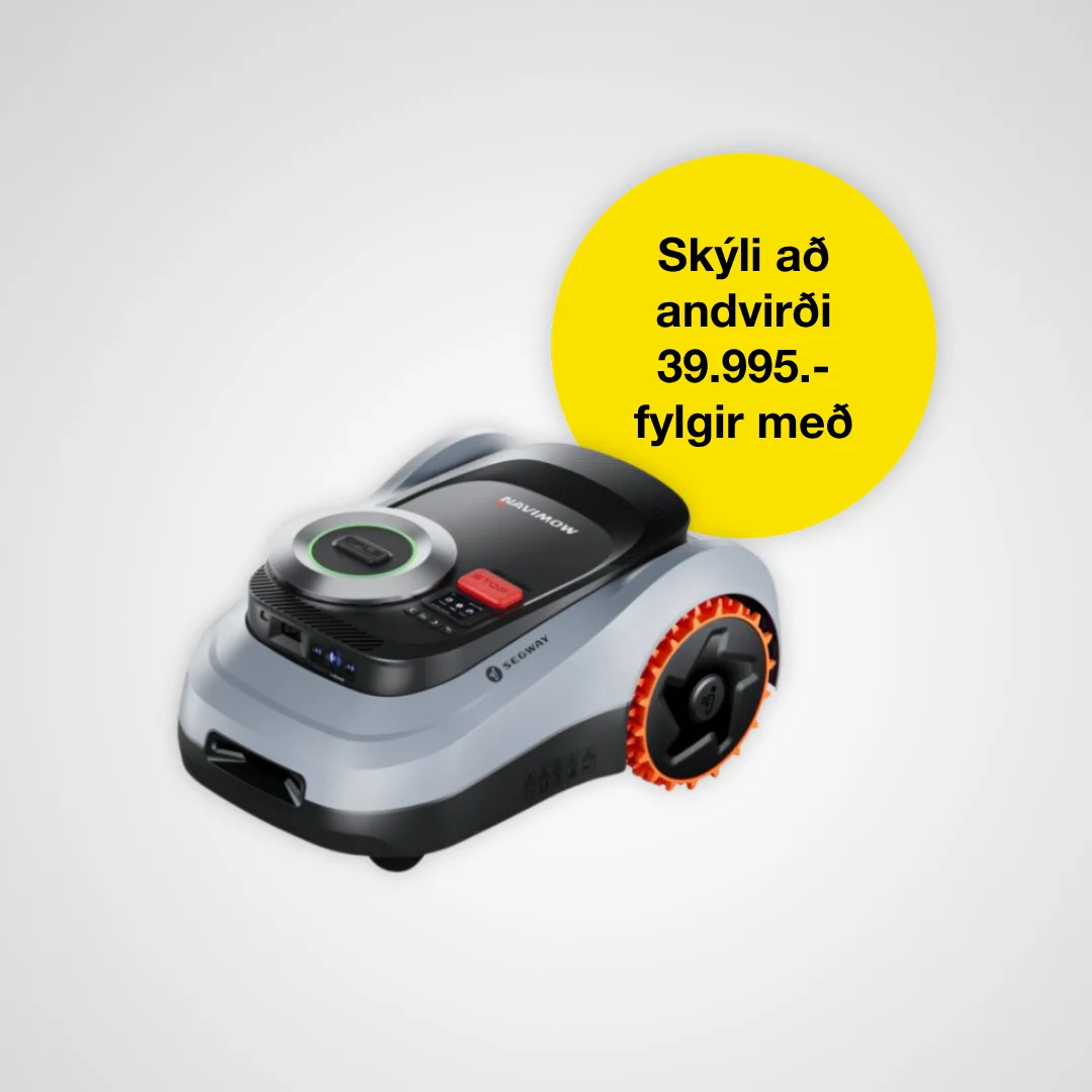 Segway 1625378 IS
