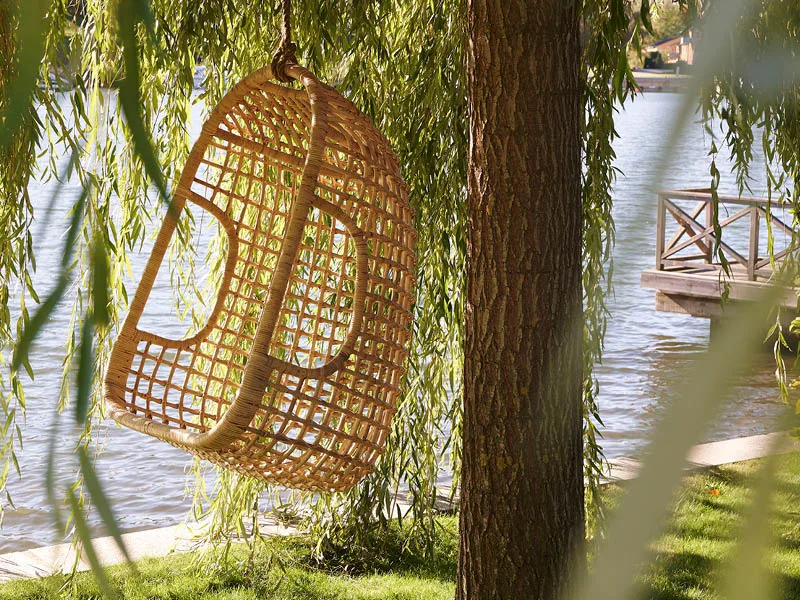 Blog Image blog_9387_iwfp_001