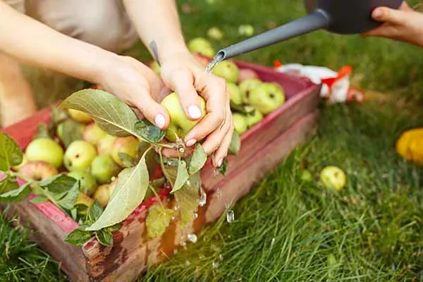 Blog Image blog_9251_iwfp_002