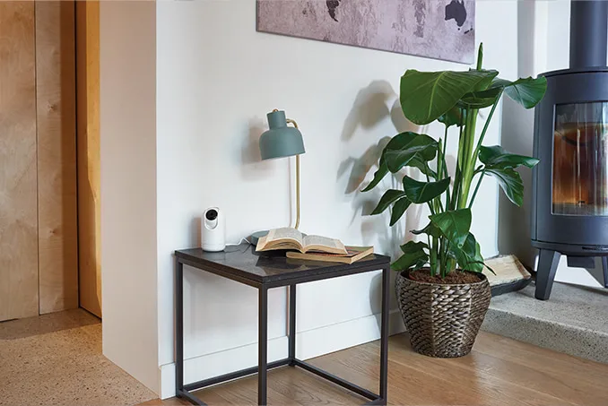 Blog Image blog_9335_iwfp_006