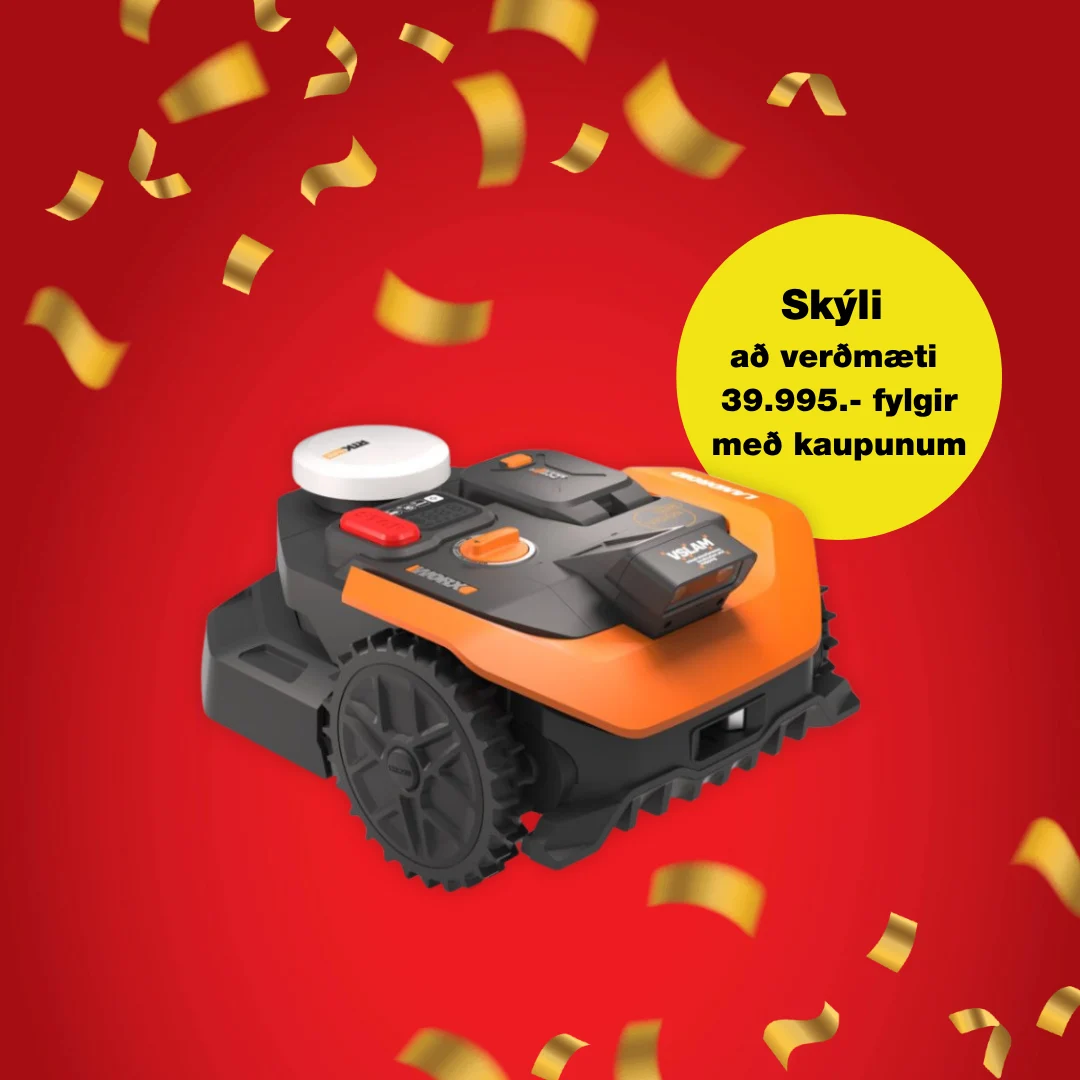 IS 1621003 afmæli