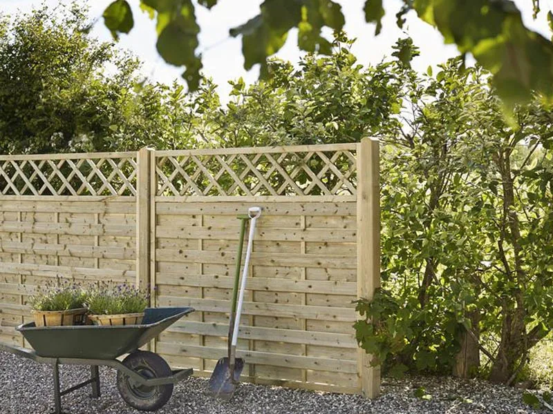 Blog Image blog_9411_iwfp_001