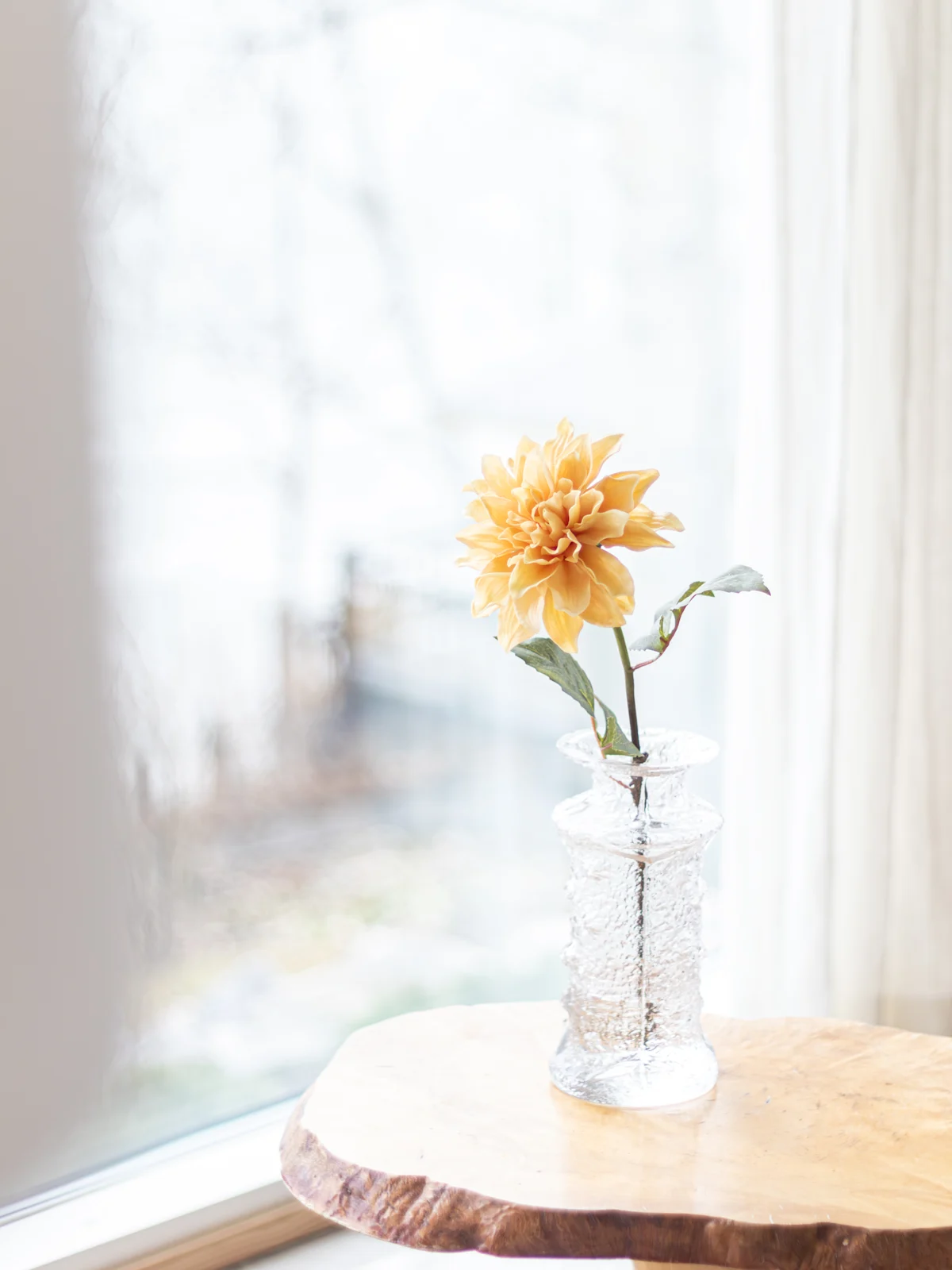 Tekokasvi Bloom Deco Daalia keltainen 1675404