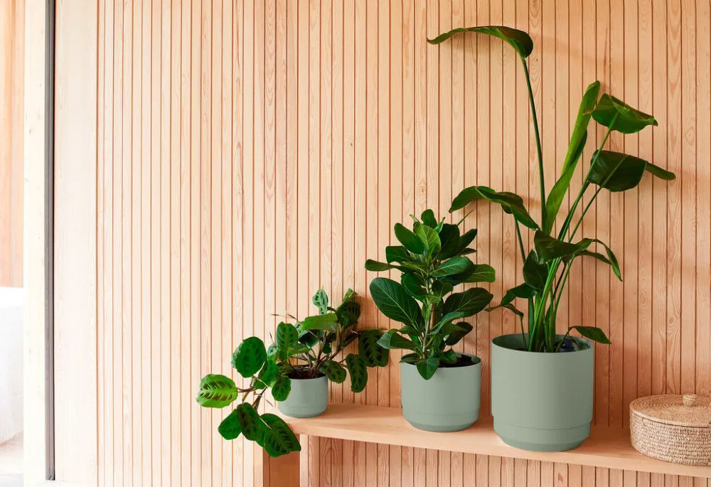 EE Paulina altkastmispotid