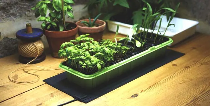 Blog Image blog_9495_iwfp_003