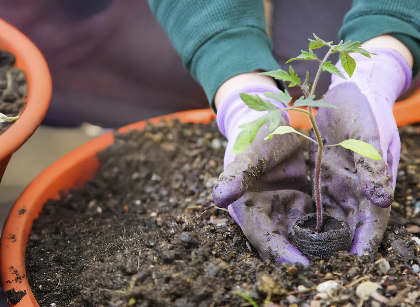 FI HZ260331 Kevään kasvutarinat Hero banner 