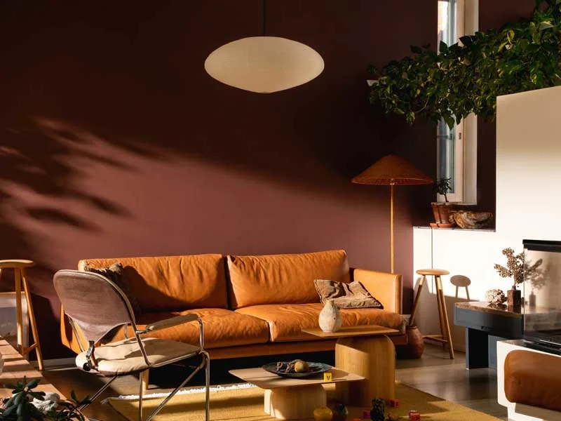 Blog Image blog_9443_iwfp_001