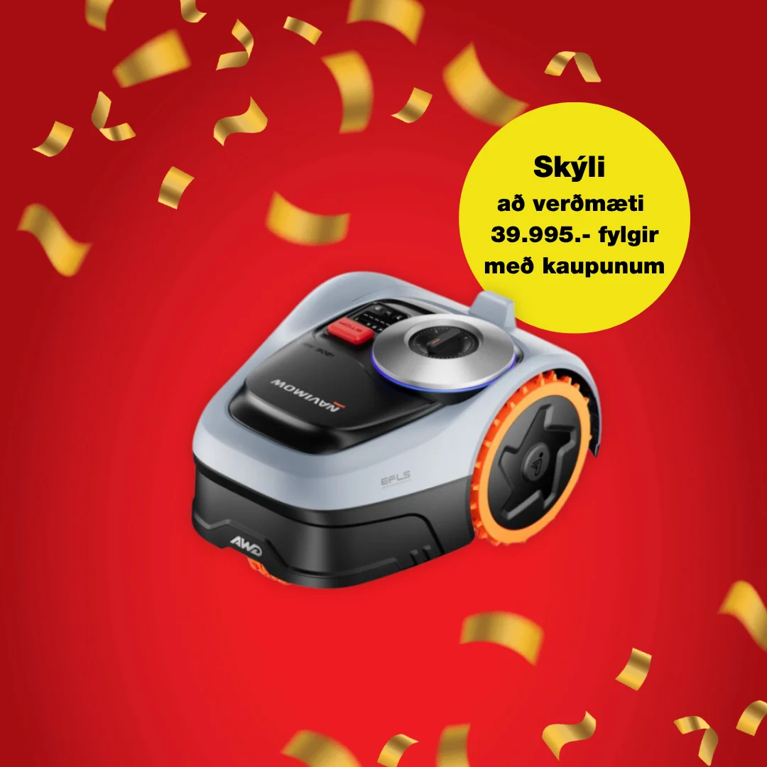 Segway 1625377 IS (Afmælishátíð)