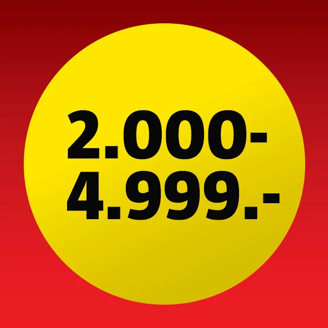 300-499 kr