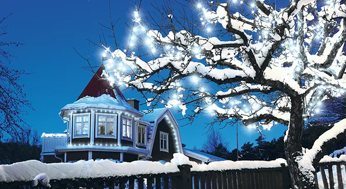 Outdoor Christmas Lights