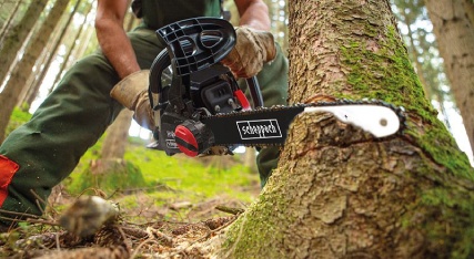 Chainsaws Image