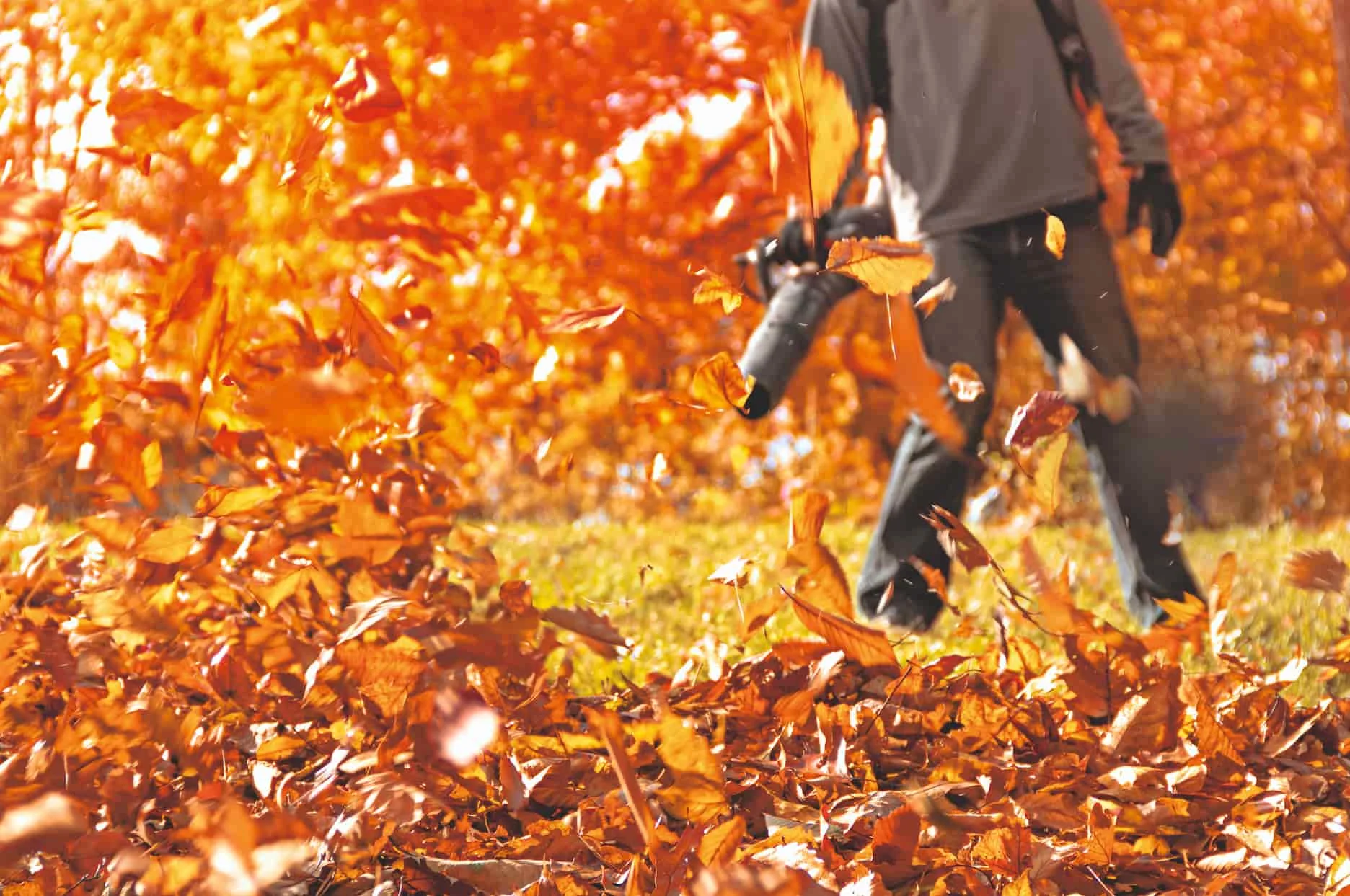 Blog Image blog_9345_iwfp_001