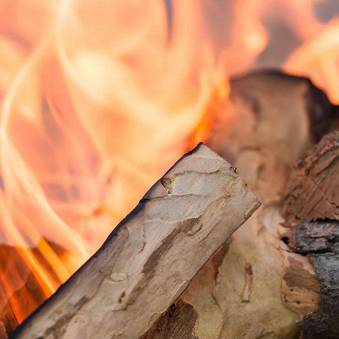 Image 98d1a298ad6538795768463384204094