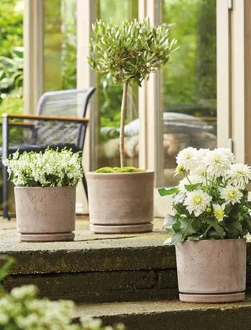 Blog Image blog_9467_iwfp_012
