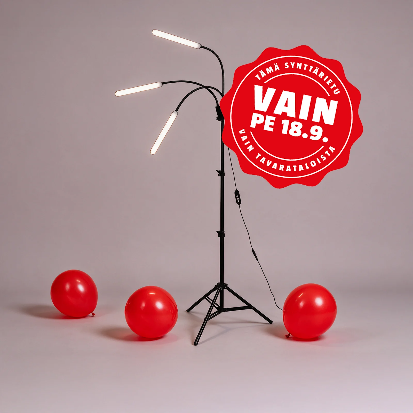 FI Image: BAUHAUS 25 V Erikoistarjous - Kasvivalaisin Airam Palm