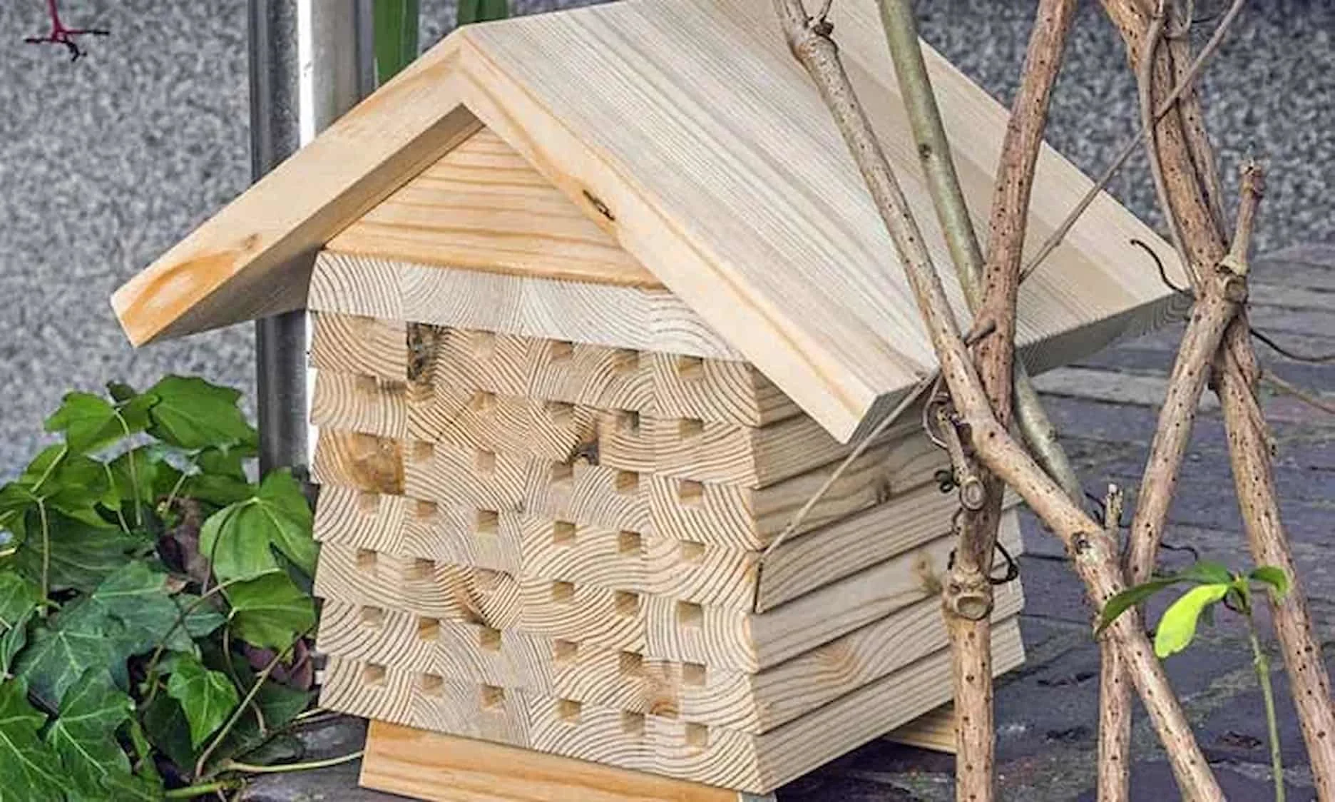 Blog Image blog_9541_iwfp_002