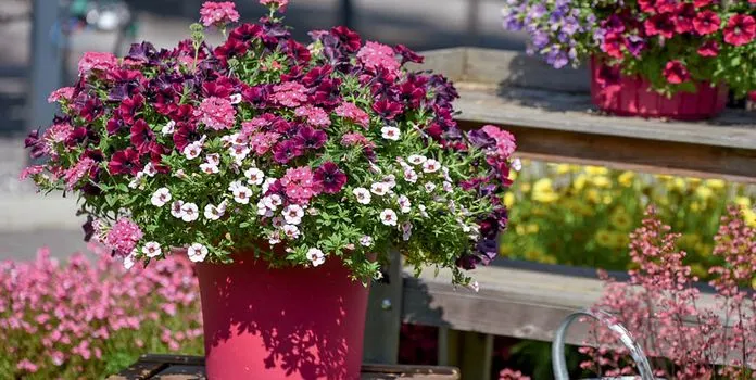 Blog Image blog_9467_iwfp_011