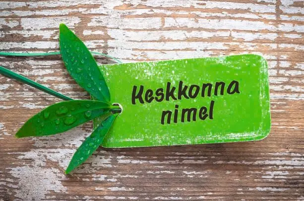 Image 10019_EGJOK31_image