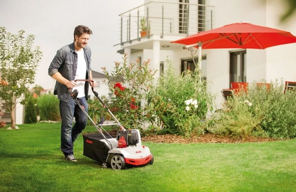 Moss Aerators Image