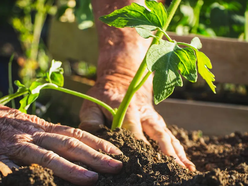 Blog Image blog_9281_iwfp_001