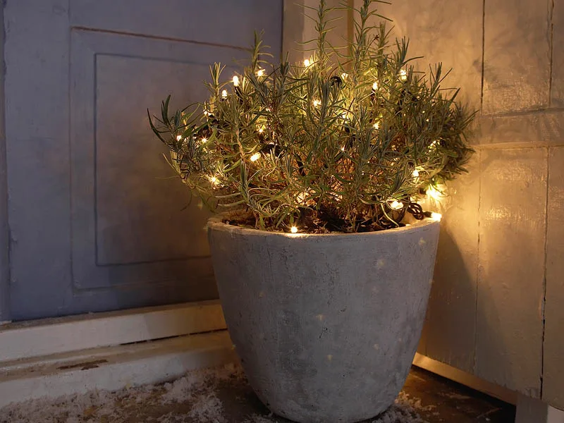 Blog Image blog_9515_iwfp_001