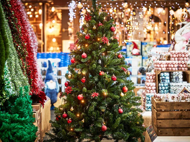 Blog Image blog_9401_iwfp_001