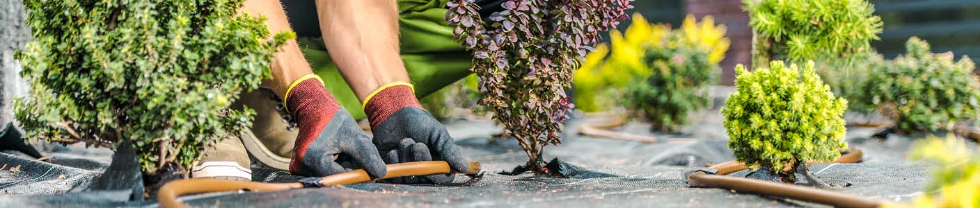 Blog Image blog_9369_iwfp_001