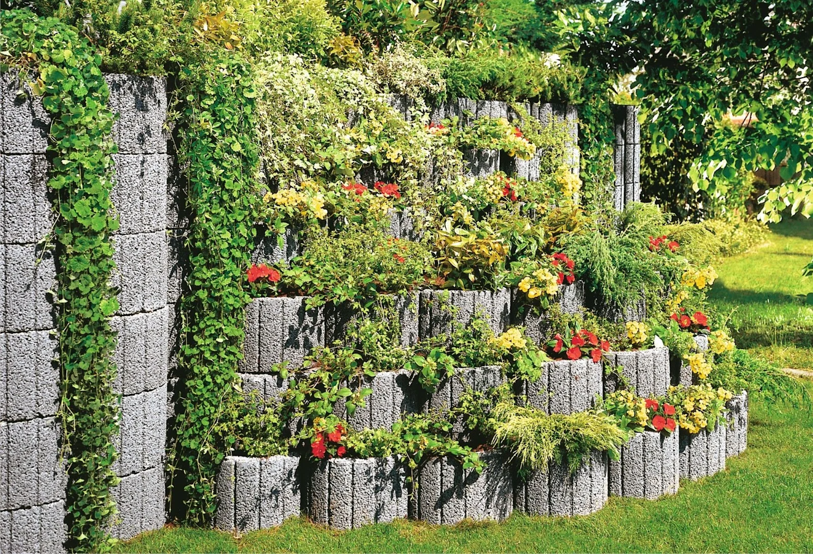 Blog Image blog_9379_iwfp_009