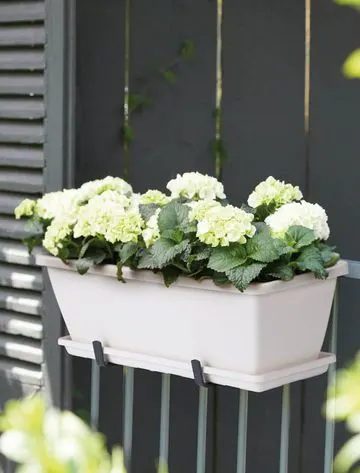 Blog Image blog_9467_iwfp_013