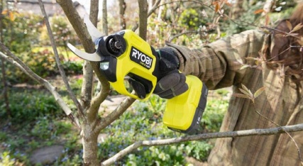 Branch Cutters Image