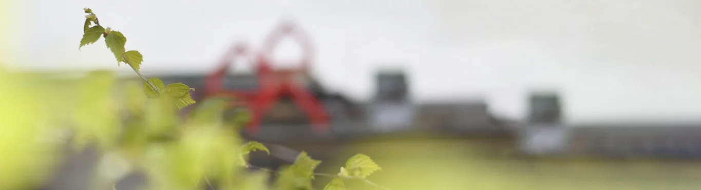 Leikjaskilyrði Hero