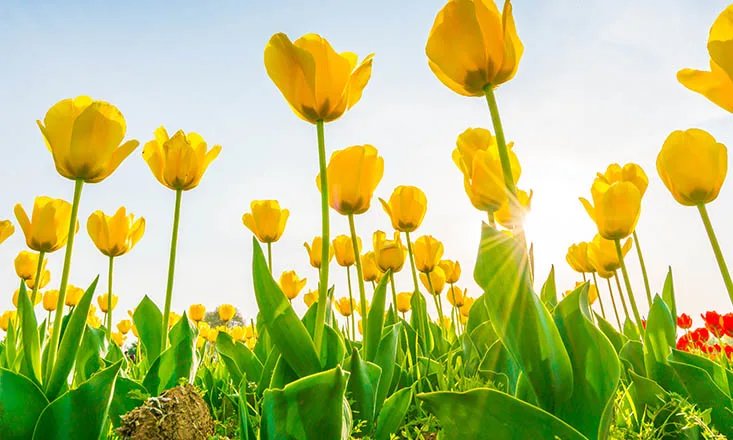 Blog Image blog_9563_iwfp_002