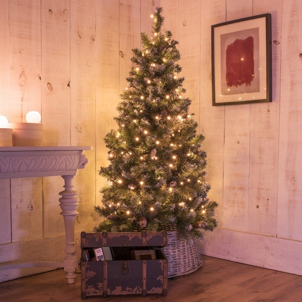 Image: Indoor Christmas Light Series