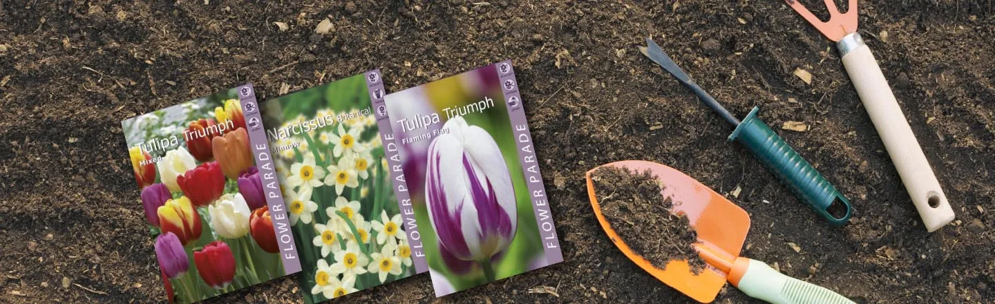 Blog Image blog_9563_iwfp_001