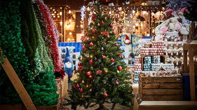 Blog Image blog_9301_iwfp_001