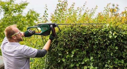 Hedge Cutters Image