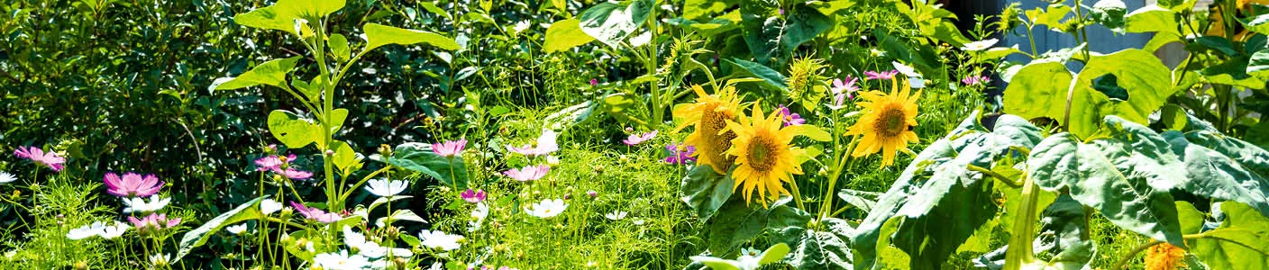 Blog Image blog_9531_iwfp_002