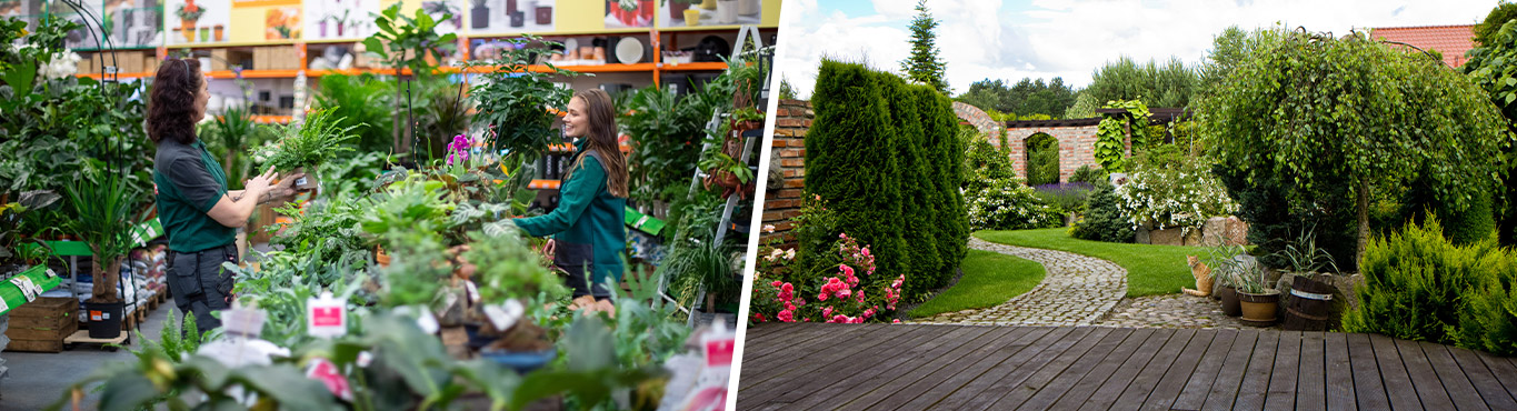 Image f25baecaccc912cea68279b3445f6326