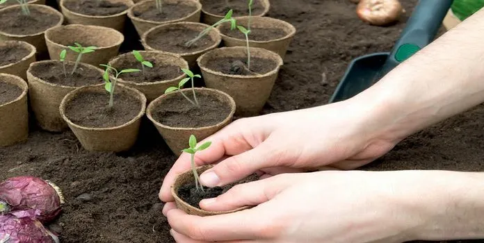 Blog Image blog_9495_iwfp_004