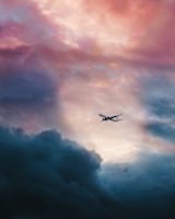 Plane in the sky