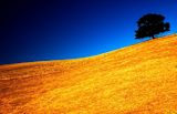 australia-drought-farm-jobs-government-employer_asset_417326862_de9bbb1f6b_o-1
