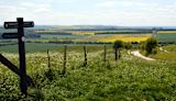 a-digital-crop-map-could-save-birds-water-and-english-taxpayers-money_asset_8967539630_efb697630e_o-1