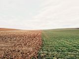 elizabeth-lies-YbgPWfWlvkE-unsplash
