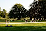 Decorative image of park for article