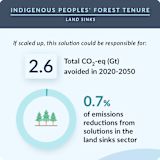 23. Indigenous Peoples Forest Tenure