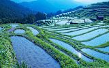 can-japans-regions-reap-the-benefits-of-migration_asset_6791259798_eb910b297b_z