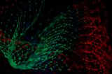 how-to-run-a-machine-learning-project-a-5-step-guide_asset_machine-learning-1