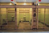 prison-hurts-women-more-than-men-so-england-is-trying-a-new-approach_asset_4698707308_44a29bb4c8_b-1